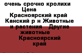 очень срочно кролихи › Цена ­ 1 800 - Красноярский край, Канский р-н Животные и растения » Другие животные   . Красноярский край